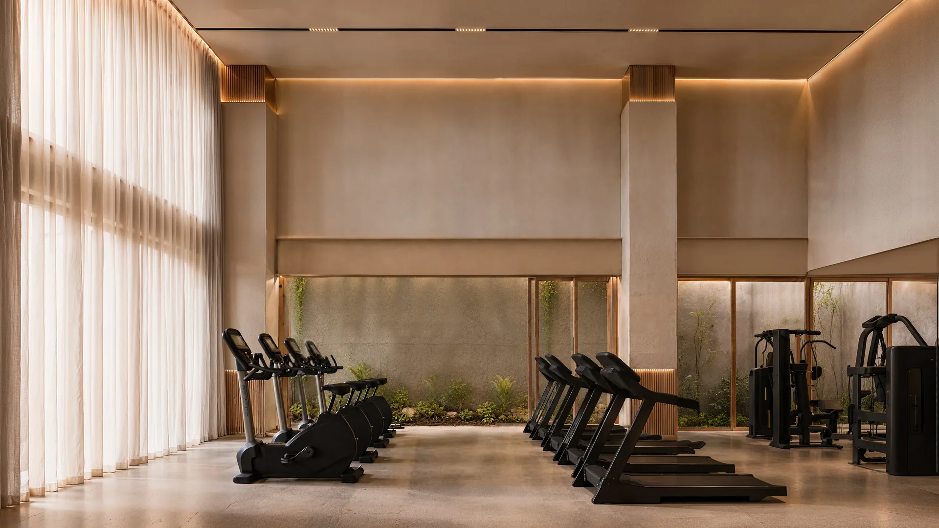 Gimnasio